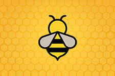 Spelling Bee Unlimited Canton Rep Speller Logan Cox Out After Round 3